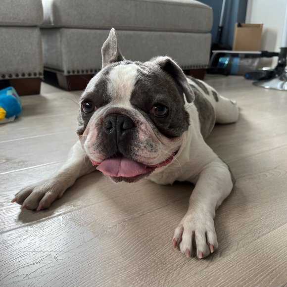 Meet your Posher, Melissa - Picture 2 of 3